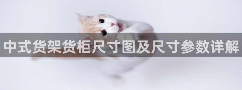 杏运代理