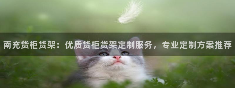 杏运体育官网