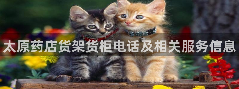 杏运娱乐平台注册地址在哪里