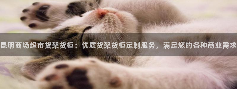杏运汽车招商