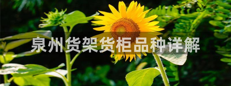 杏运平台注册登录