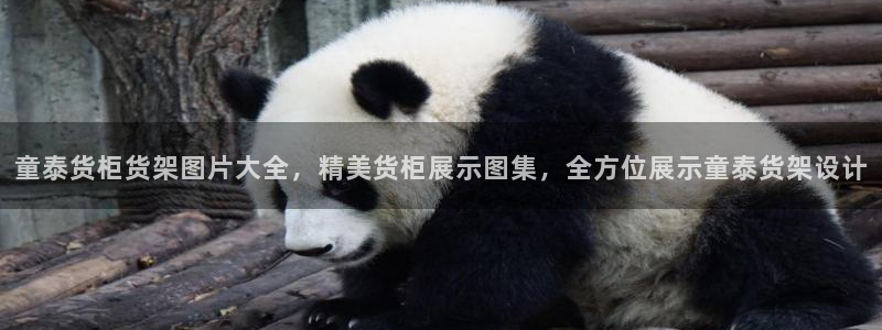 杏运代理