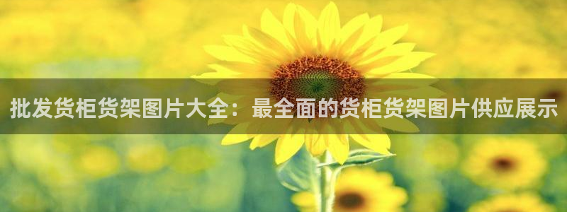 杏运体育官方网址登录