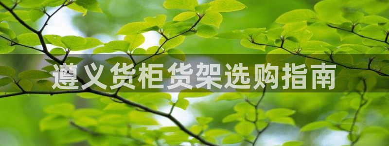 杏运体育平台