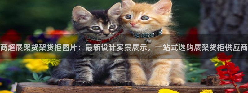 杏运体育不给出款