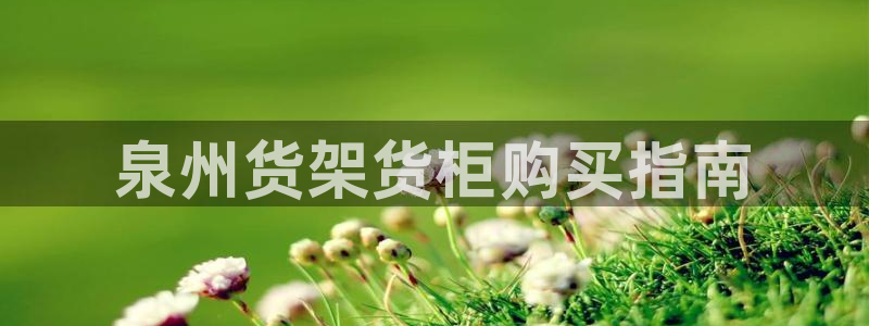 杏运新能源