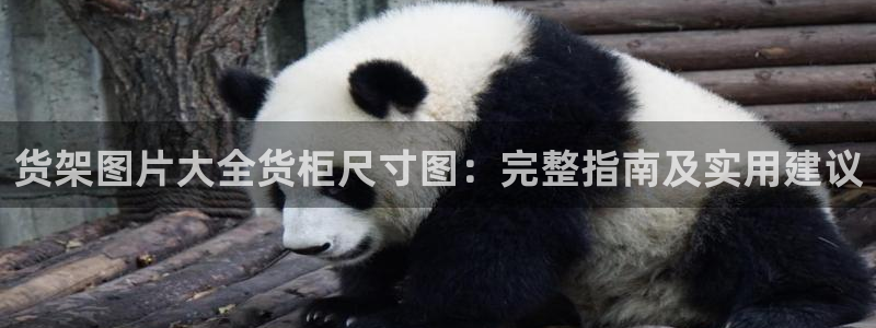 杏运体育娱乐