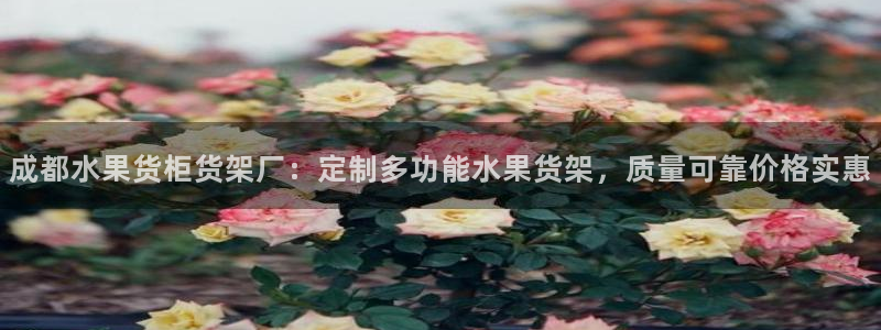 杏运注册登录地址