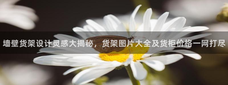 杏运注册登录