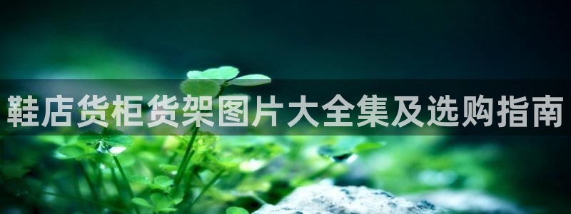 杏运体育官方网址登录