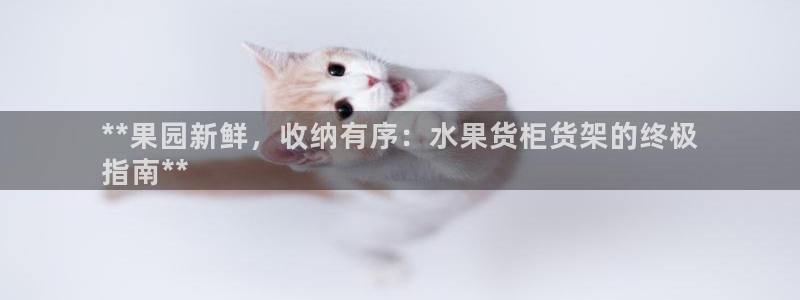 杏运登录