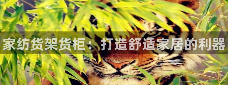 杏运体育怎么样