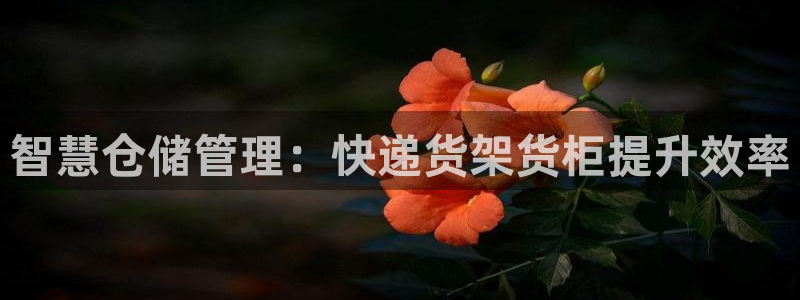 杏运平台官网