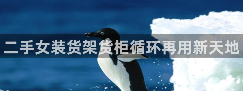 杏运代理