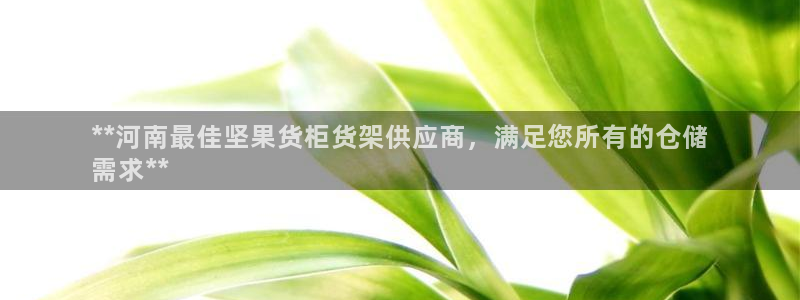 杏运新能源