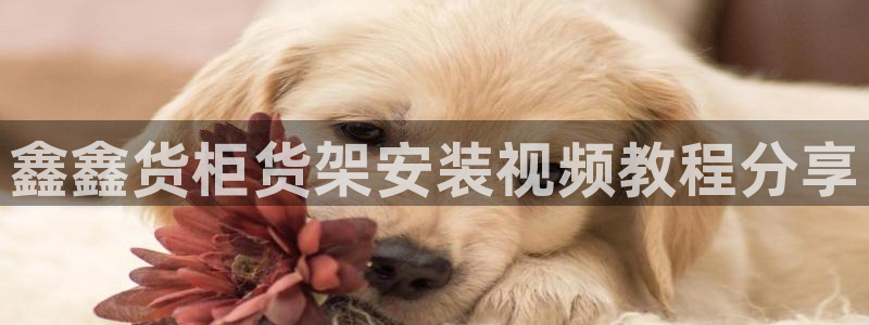 杏运平台官网
