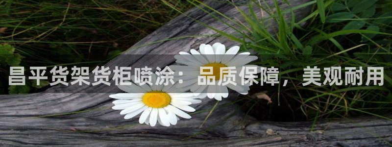 杏运代理