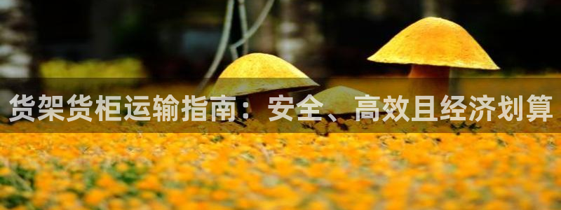 杏运登录