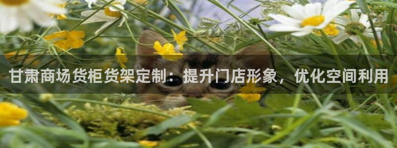 杏运体育官方网址