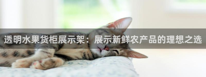 杏运相伴