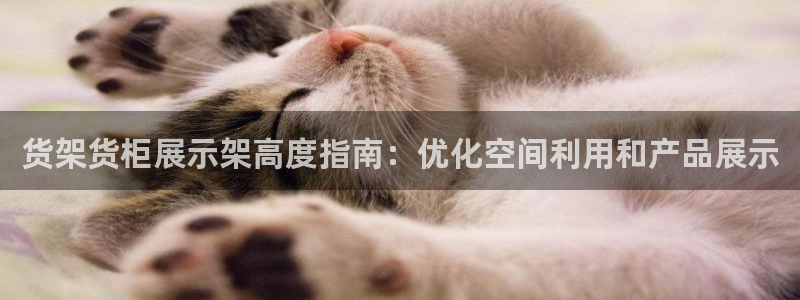 杏运体育官网
