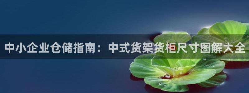 杏运注册平台