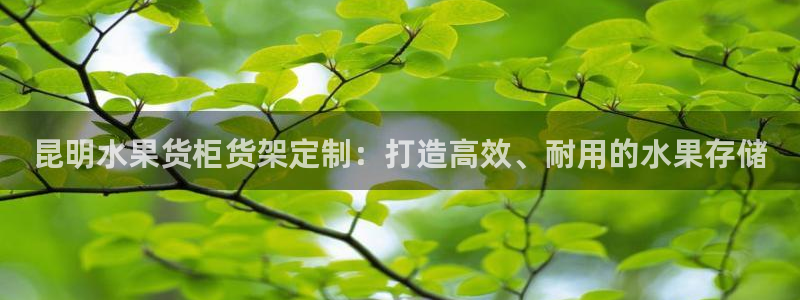 杏运注册平台