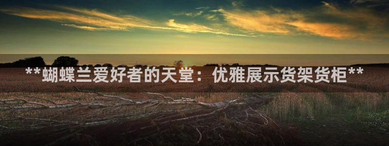 杏运汽车招商