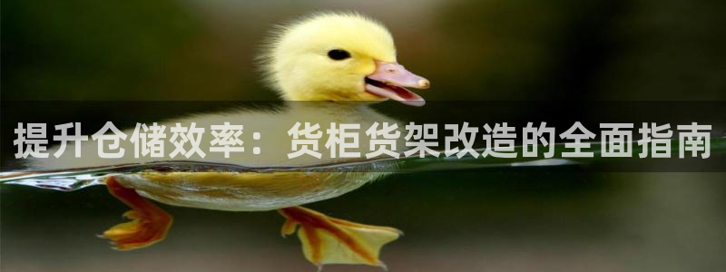 杏运体育娱乐