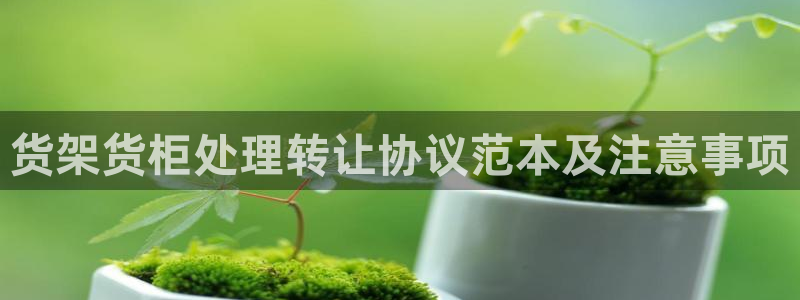 杏运代理