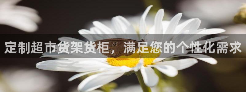 杏运代理