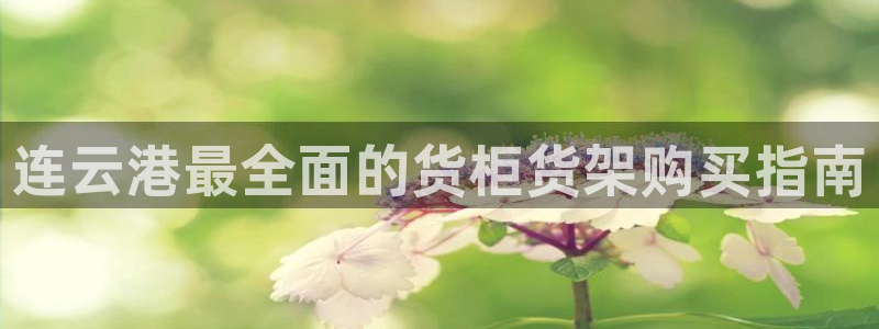 杏运体育官方网址