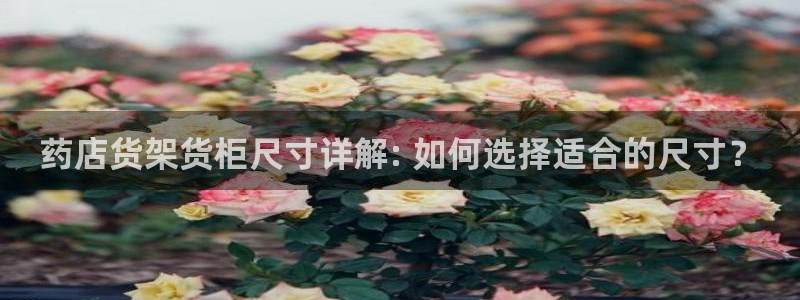 杏运体育登录