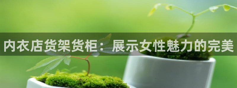 杏运体育官方网址登录