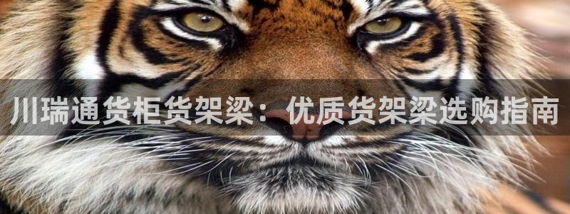 杏运平台登陆