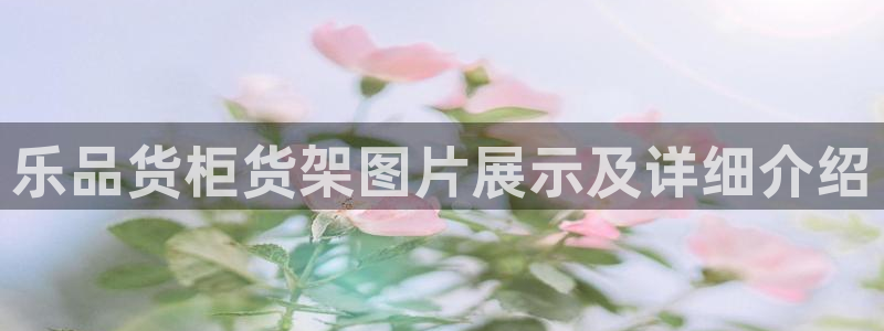 杏运平台代理