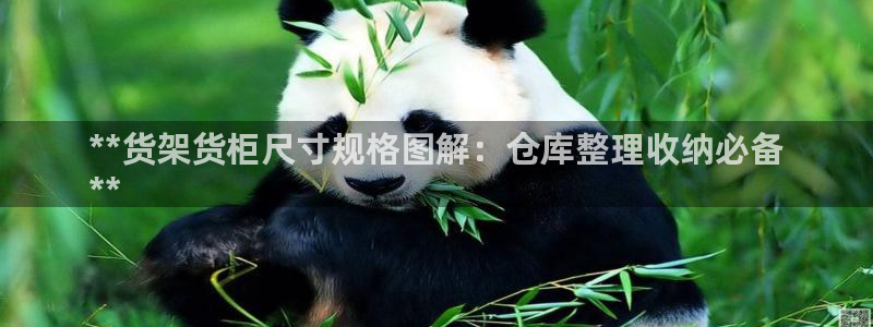 杏运体育app