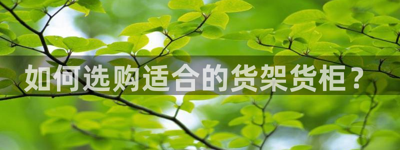 杏运平台代理