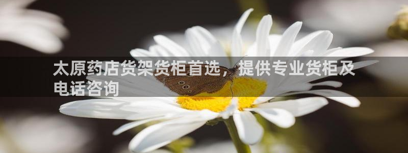 杏运体育平台