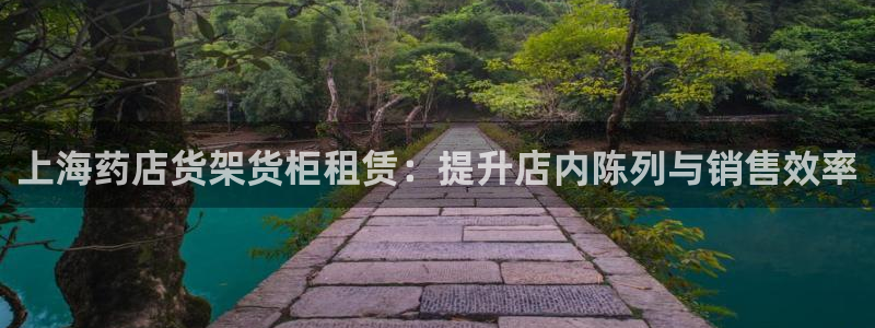 杏运汽车：上海药店货架货柜租赁：提升店内