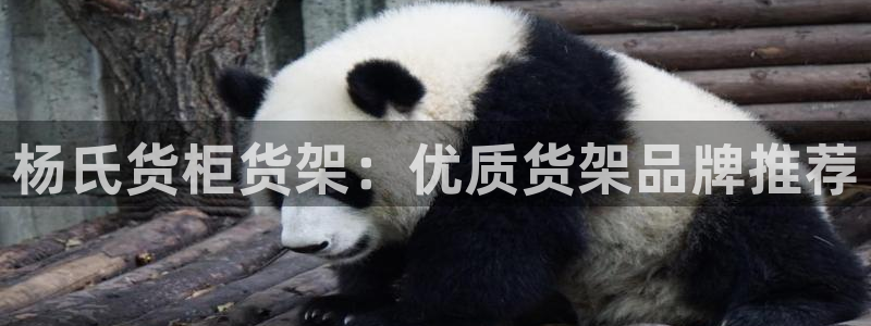杏运平台注册