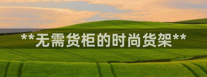 杏运娱乐官网：**无需货柜的时尚货架**